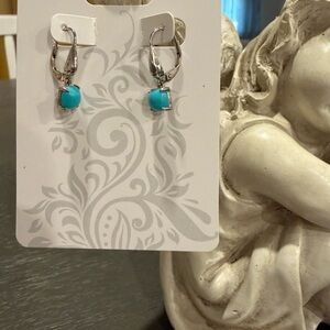 Sleeping Beauty Turquoise